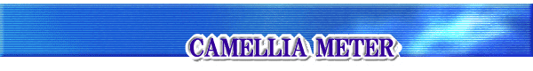 Welcome to Our Company
